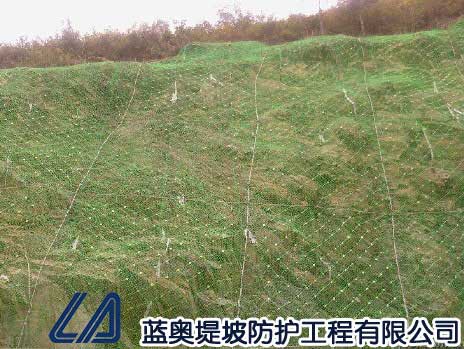 ���ӷ��o(h��)�W(w��ng)